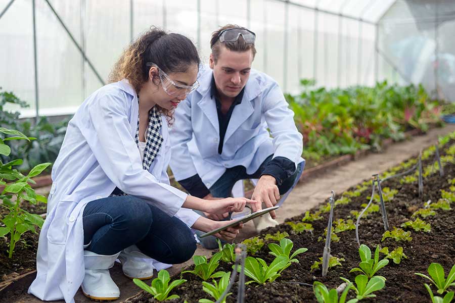 Crop & Soil Science
