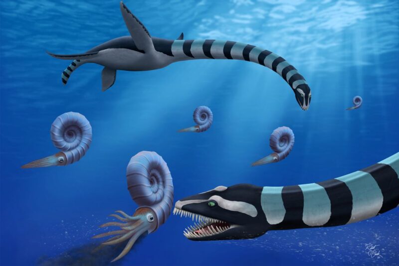 Traskasaura sea creature art