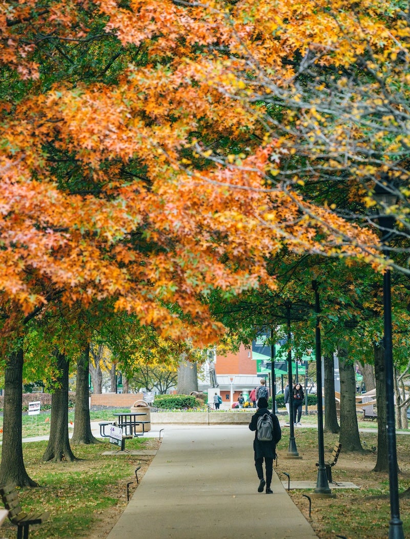 Photo of student walking on campus