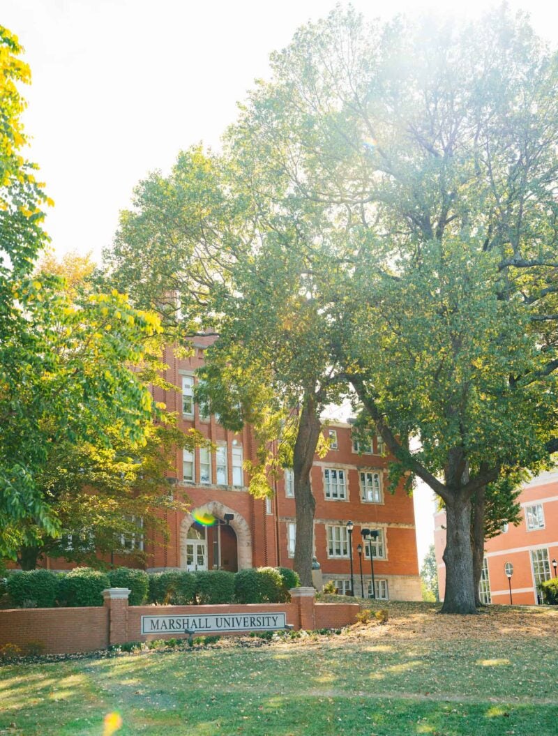 sunlight peeking through the trees of Old Main
