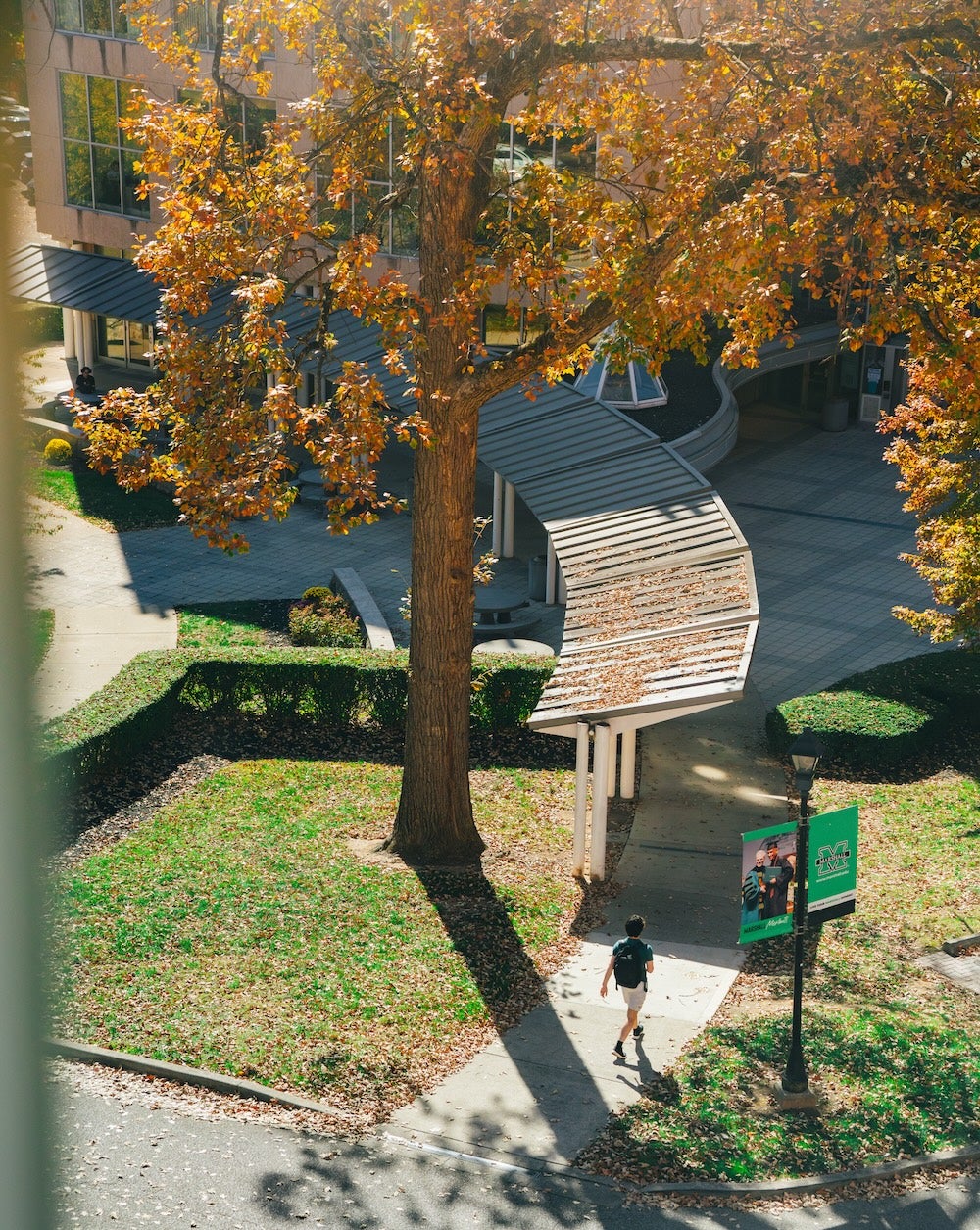 Ariel photo of student walking on campus